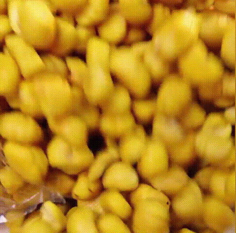 1755695278968231.gif