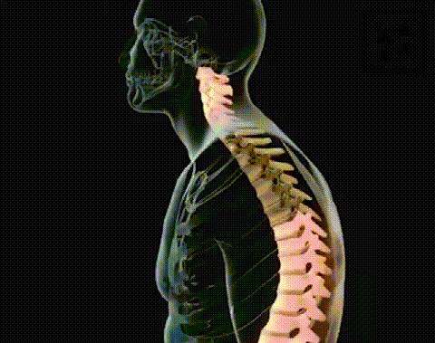 1781508900696370.gif